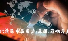 tpWallet清退中国用户：原因、影响与未来展望